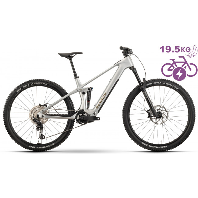 E-bike Raymon Airok 29" 2025 silver stealth-taupe