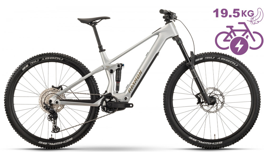 E-bike Raymon Airok 29" 2025 silver stealth-taupe - 3
