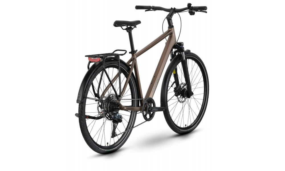 Bicycle Raymon Zayn Auto 2026 mushroom - 2