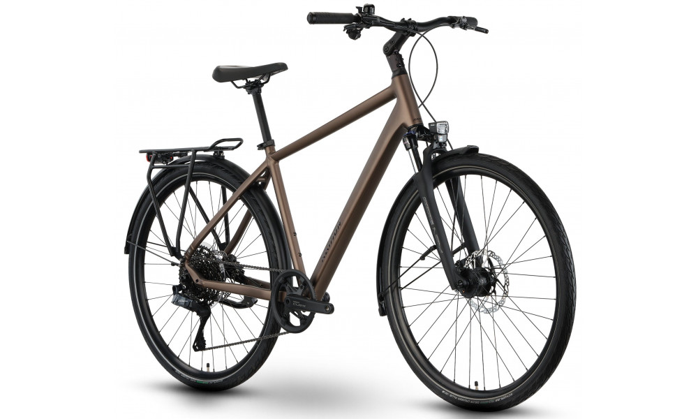 Bicycle Raymon Zayn Auto 2026 mushroom - 3