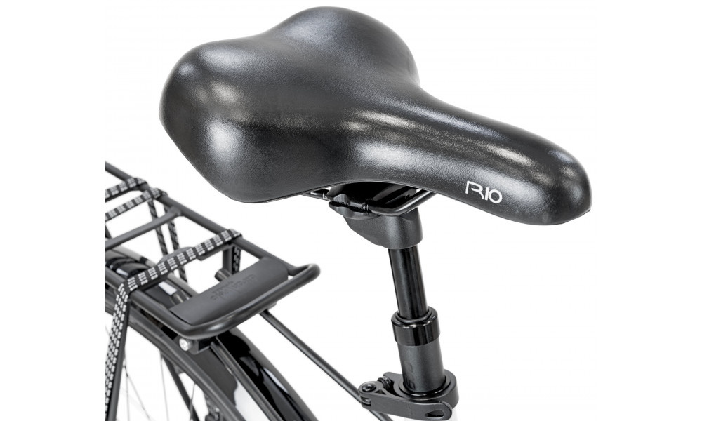 Bicycle Romet Gazela 2 2025 grey-violet - 2