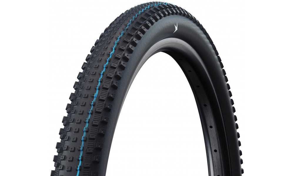 Tire 29" Schwalbe Rick HS635 Evo Fold TLR 62-622 / 29x2.40 XC Pro 