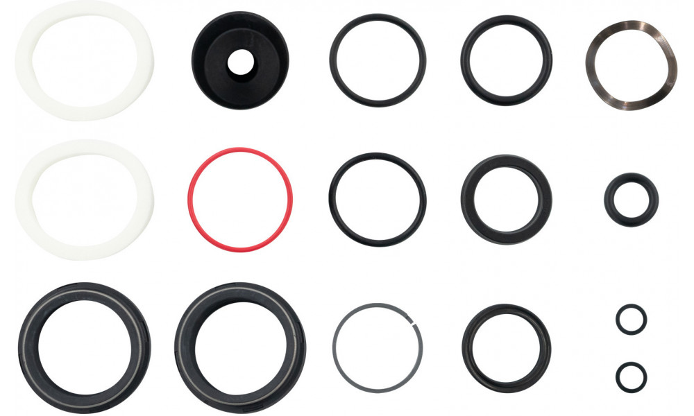 Fork service kit Rockshox Revelation Motion Control RC A1 2018 200h (1 year) 