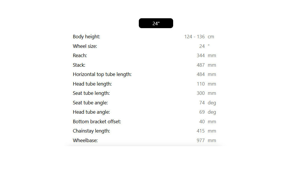 Bicycle Raymon Yanga 24 Street 2025 mustard-black - 4