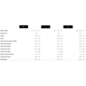 Электрический велосипед Raymon Tarok 29/27.5" 2025 grey sparkle-carbon-citron