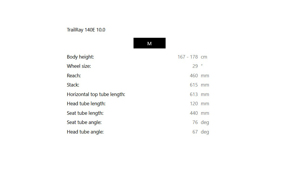 Электрический велосипед Raymon TrailRay 140E 10.0 29" grey black-white - 2