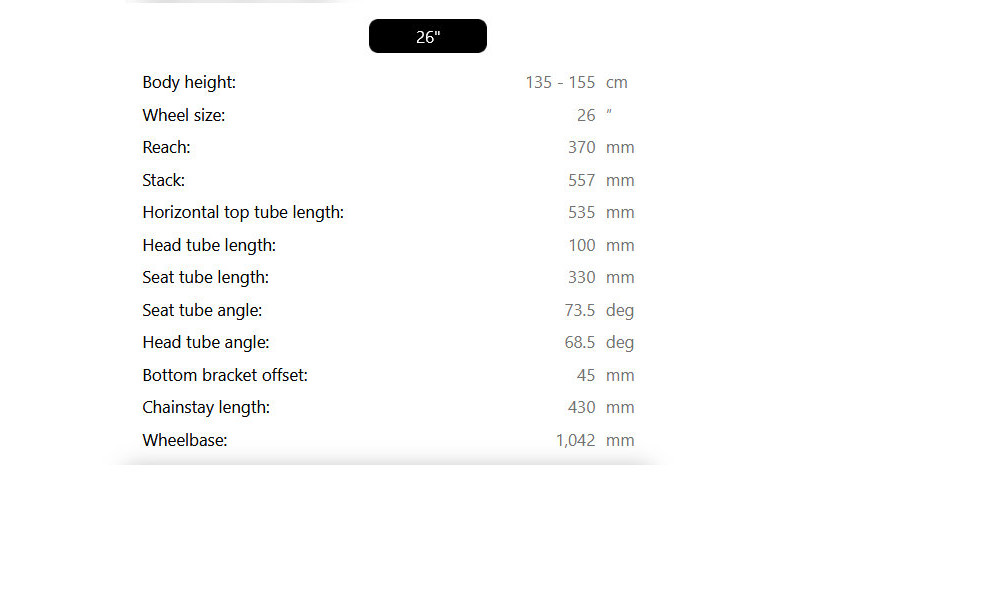 Велосипед Raymon Nayta 26 Pro Street 2026 pipe grey-mustard - 4