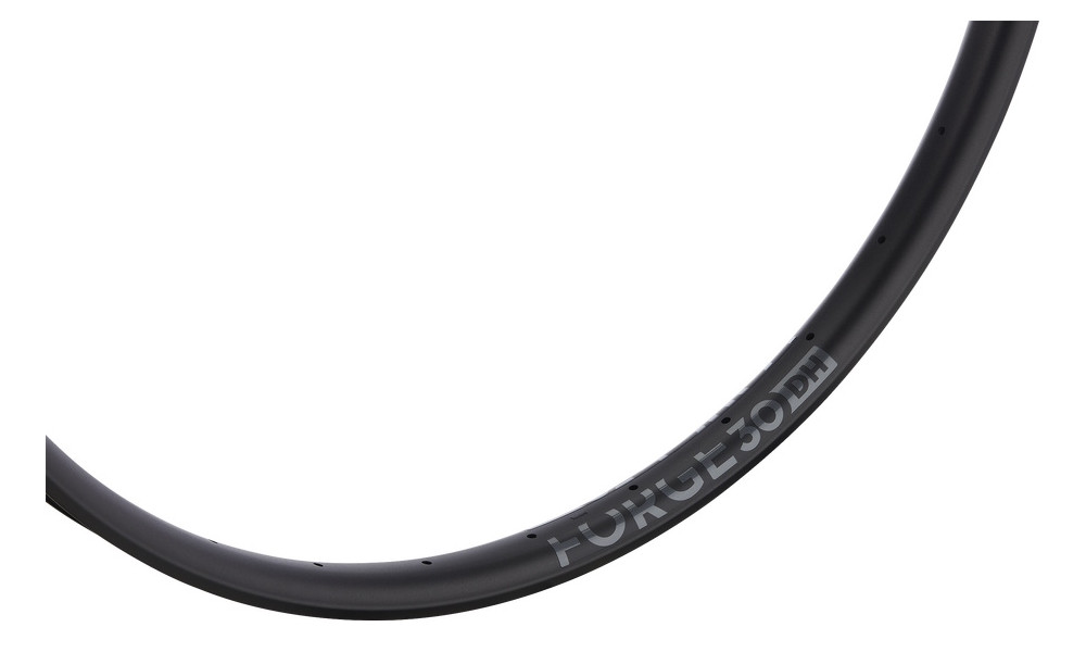 Rim NEWMEN Forge Alu 30 DH 29" 32H - 3