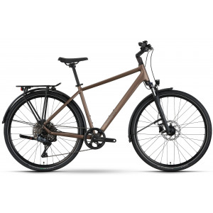 Bicycle Raymon Zayn Auto 2026 mushroom