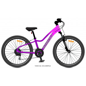 Bicycle Tabou Topshe 24 pink-purple