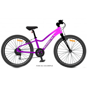 Bicycle Tabou Topshe 20 Lite pink-purple