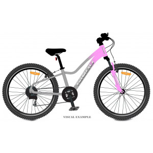Bicycle Tabou Topshe 20 pink-grey