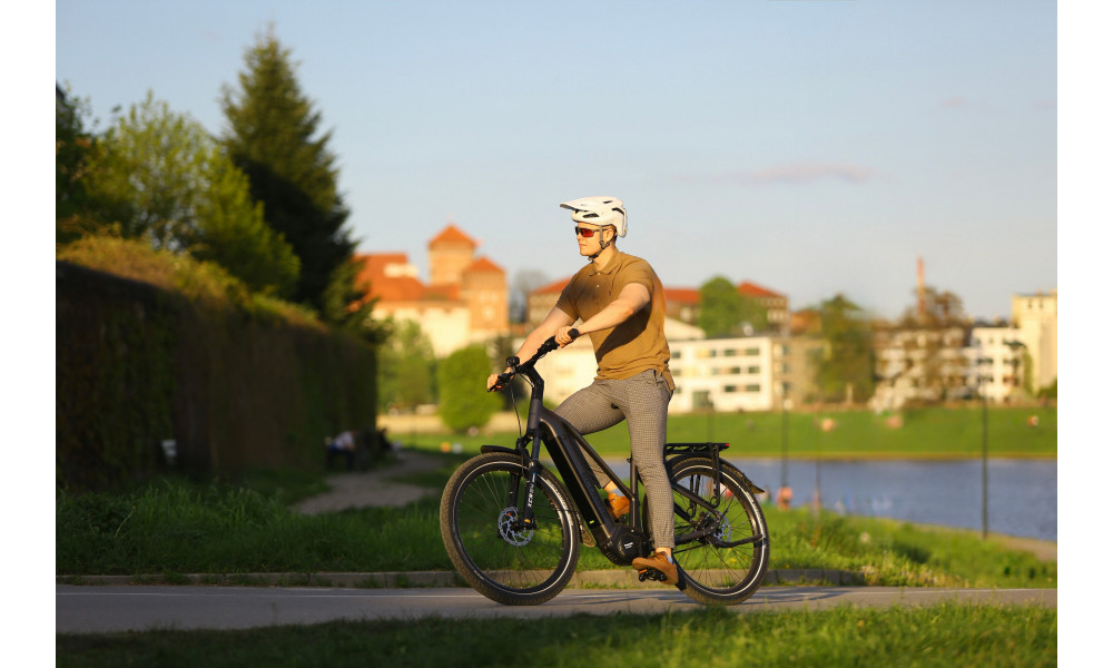 ????????????? ????????? Ecobike Dare 900Wh - 2