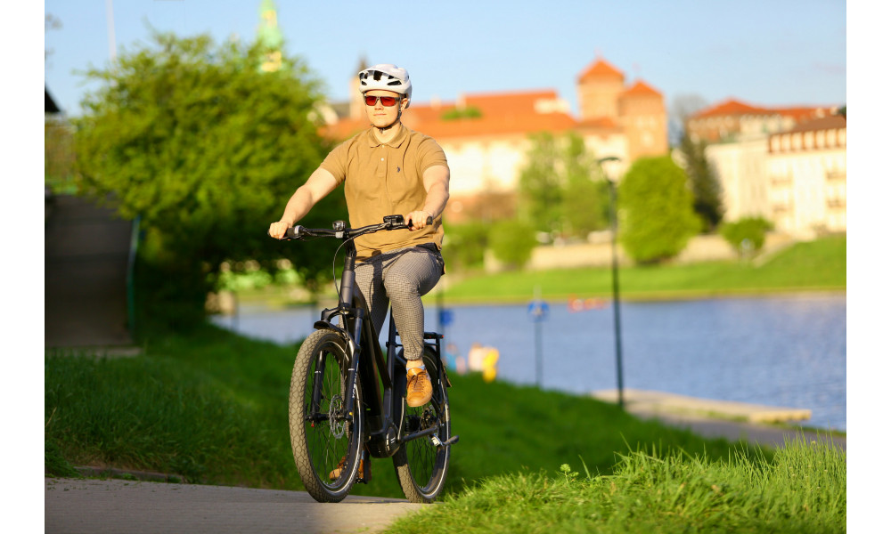 ????????????? ????????? Ecobike Dare 900Wh - 5