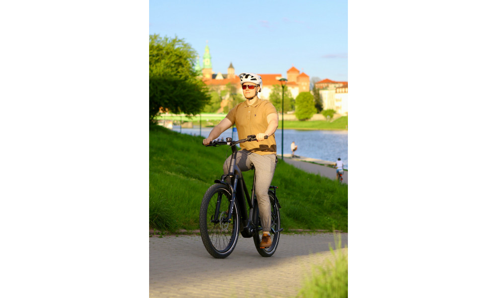 ????????????? ????????? Ecobike Dare 900Wh - 6