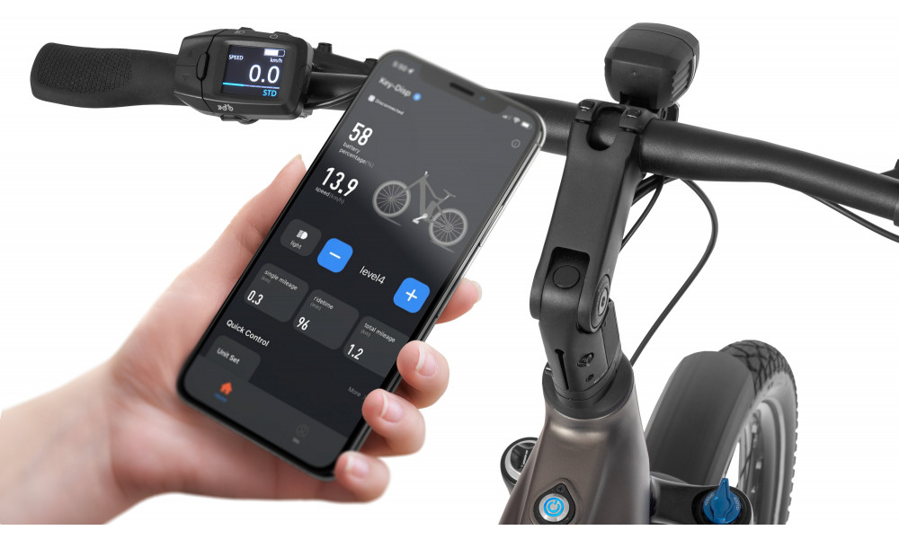 E-bike Ecobike Dare 900Wh - 19