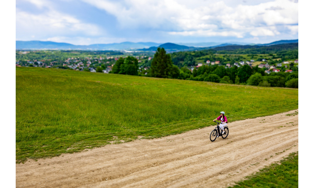 E-bike Ecobike Expedition SUV Black 1080Wh - 2