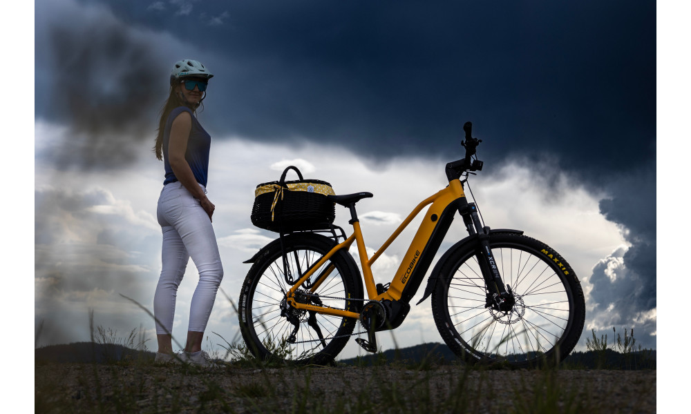 ????????????? ????????? Ecobike Expedition SUV Yellow 720Wh - 4