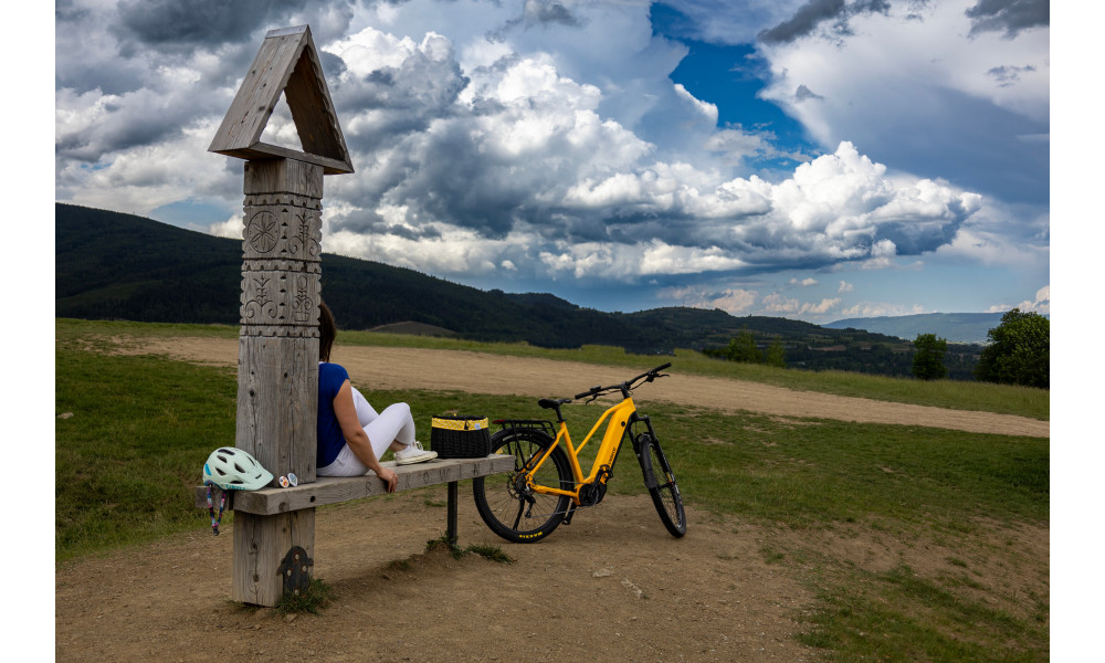 ????????????? ????????? Ecobike Expedition SUV Yellow 720Wh - 6