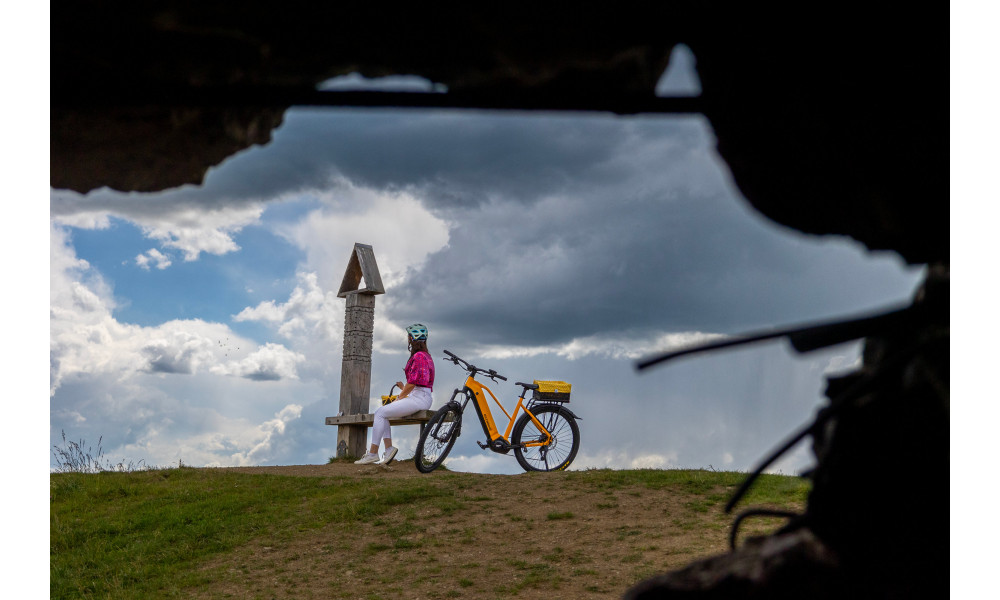 E-bike Ecobike Expedition SUV Yellow 720Wh - 7