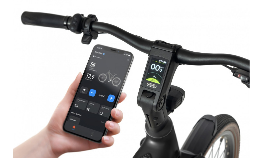 ????????????? ????????? Ecobike Flex Black 900Wh - 3