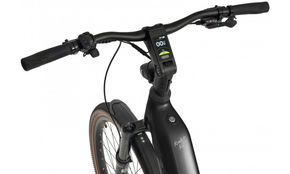 E-bike Ecobike Flex Black 900Wh - 13