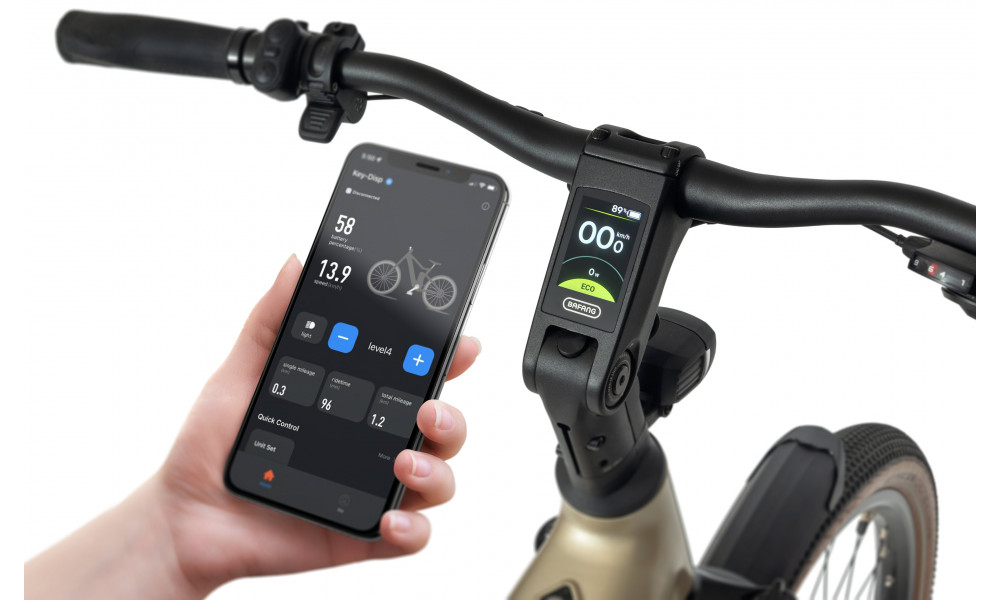 E-bike Ecobike Flex Titanium 900Wh - 4