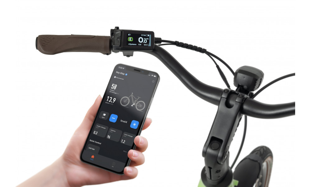 E-bike Ecobike LX100 Automatic Green 630Wh - 5