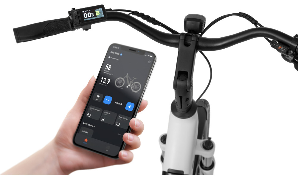 E-bike Ecobike LX100 White V2 630Wh - 4