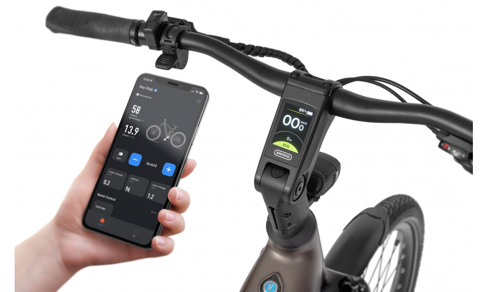 E-bike Ecobike LX300 Onyx V3 900Wh - 4