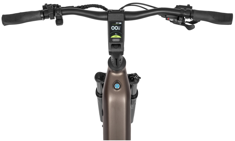 E-bike Ecobike LX300 Onyx V3 900Wh - 9