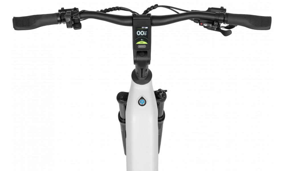????????????? ????????? Ecobike LX300 White V3 900Wh - 9