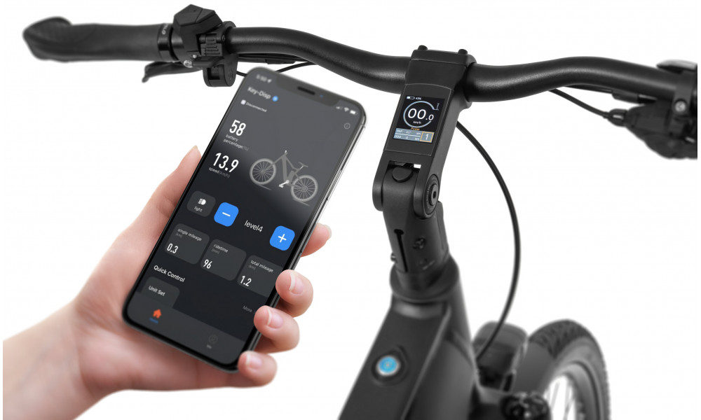 E-bike Ecobike LX500 Graphite 960Wh - 11