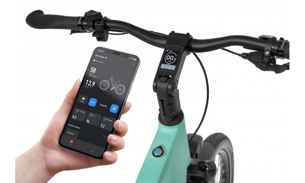 E-bike Ecobike LX500 Mint 960Wh - 10