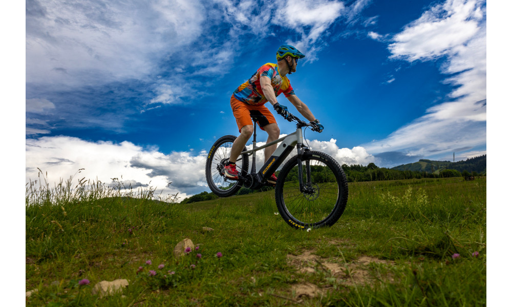 ????????????? ????????? Ecobike Mauler 1080Wh - 15