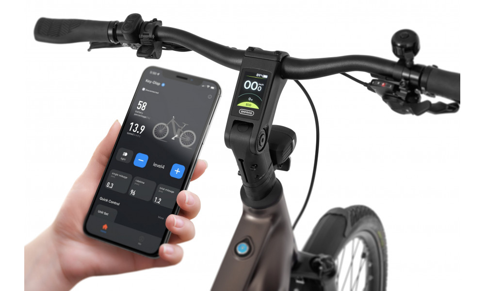 ????????????? ????????? Ecobike MX300 Golden Grey 900Wh - 2