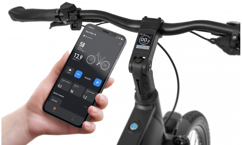 ????????????? ????????? Ecobike MX500 Graphite 960Wh - 11