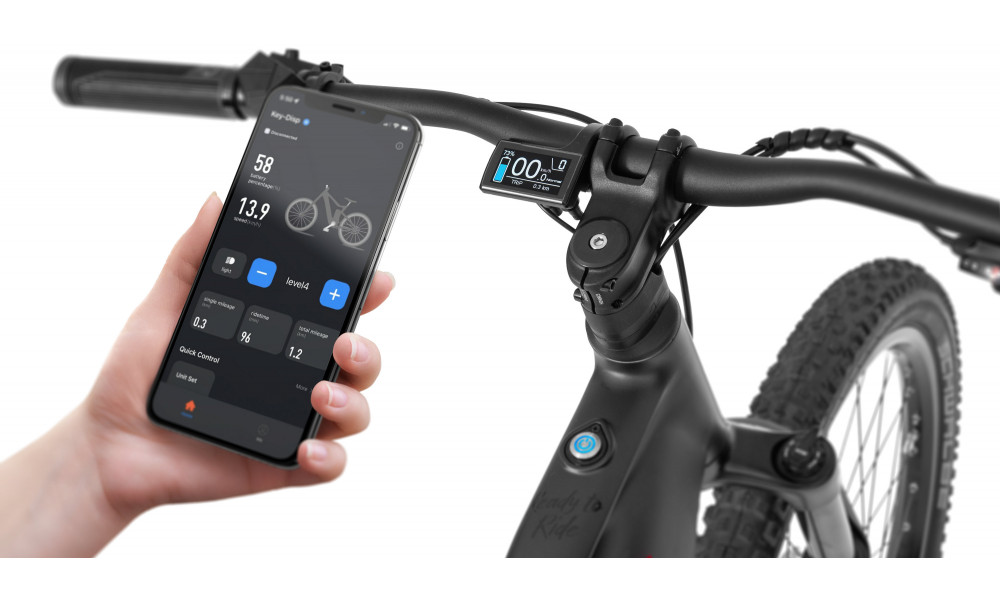 E-bike Ecobike RX500 Black 960Wh - 11