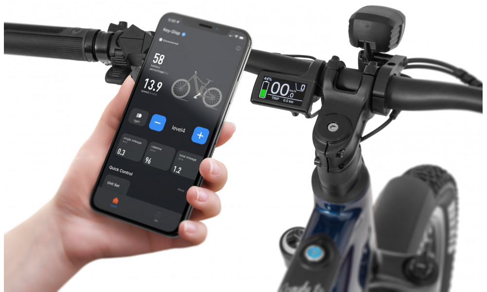 E-bike Ecobike RX500 Blue SUV 960Wh - 3