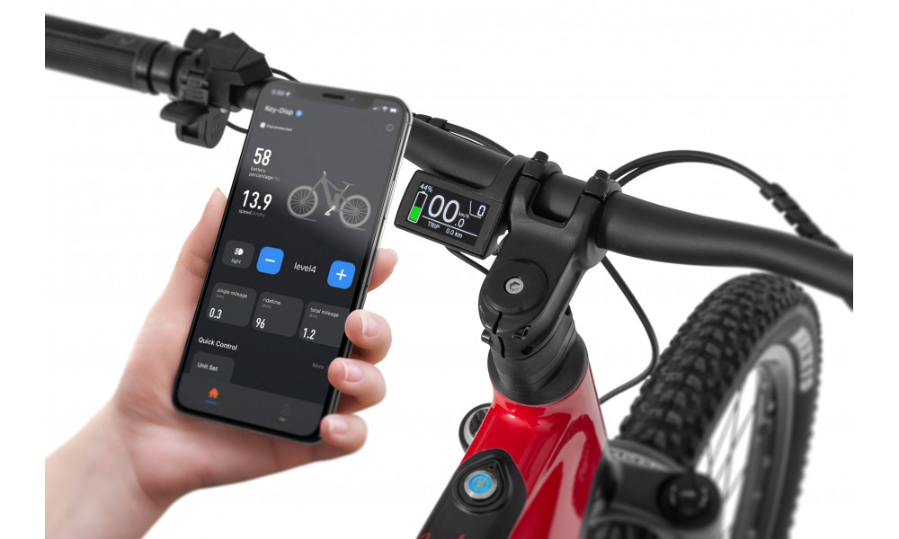 E-bike Ecobike RX500 Max Red 960Wh - 3