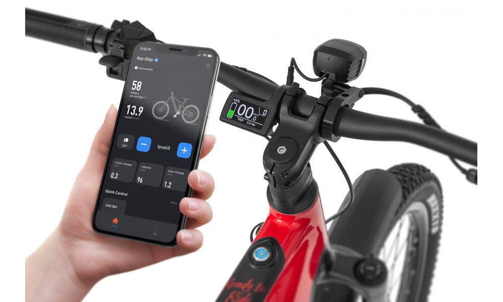 E-bike Ecobike RX500 Max Red SUV 960Wh - 3