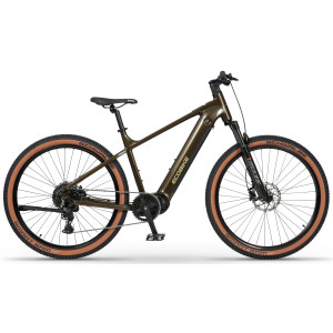 E-bike Ecobike SX300 Green V2 900Wh