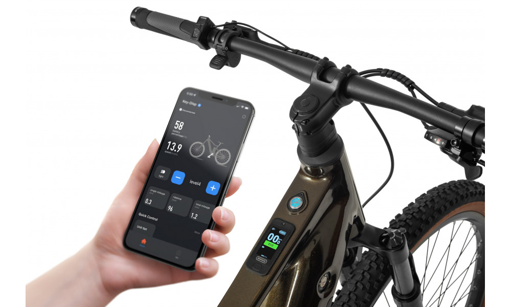 ????????????? ????????? Ecobike SX300 Green V2 900Wh - 4