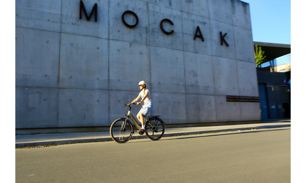 E-bike Ecobike X-City Cappuccino V3 504Wh - 9