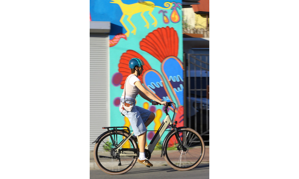 ????????????? ????????? Ecobike X-City Cappuccino V3 630Wh - 3