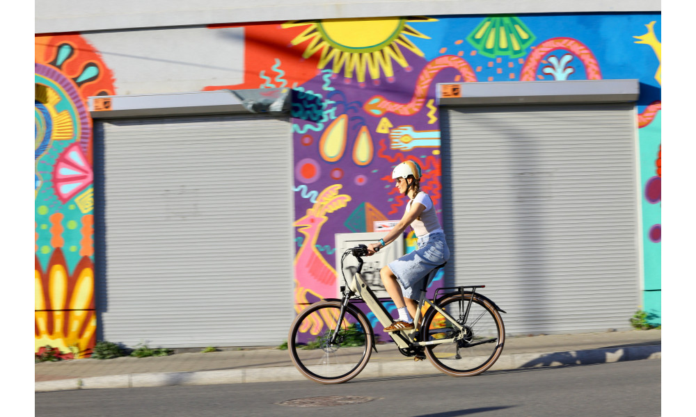 ????????????? ????????? Ecobike X-City Cappuccino V3 630Wh - 4