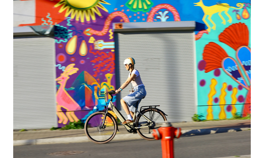 E-bike Ecobike X-City Cappuccino V3 630Wh - 7