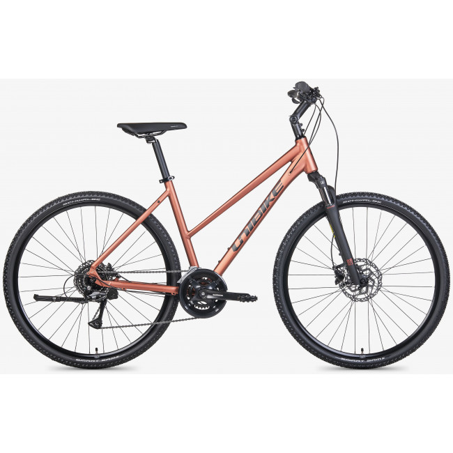 ????????? Unibike Flash LDS 2026 brandy