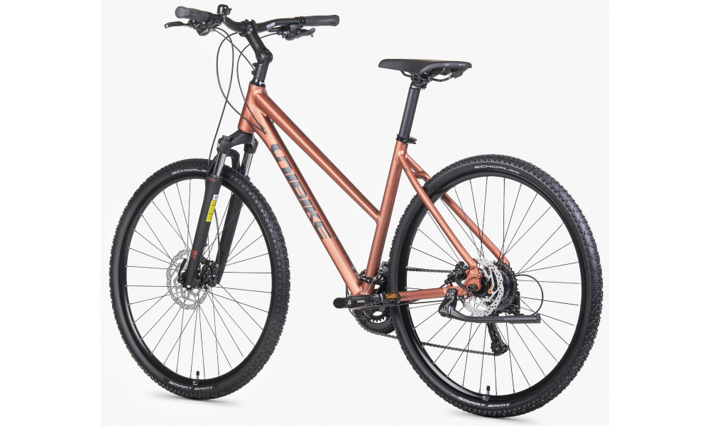 Bicycle Unibike Flash LDS 2026 brandy - 4