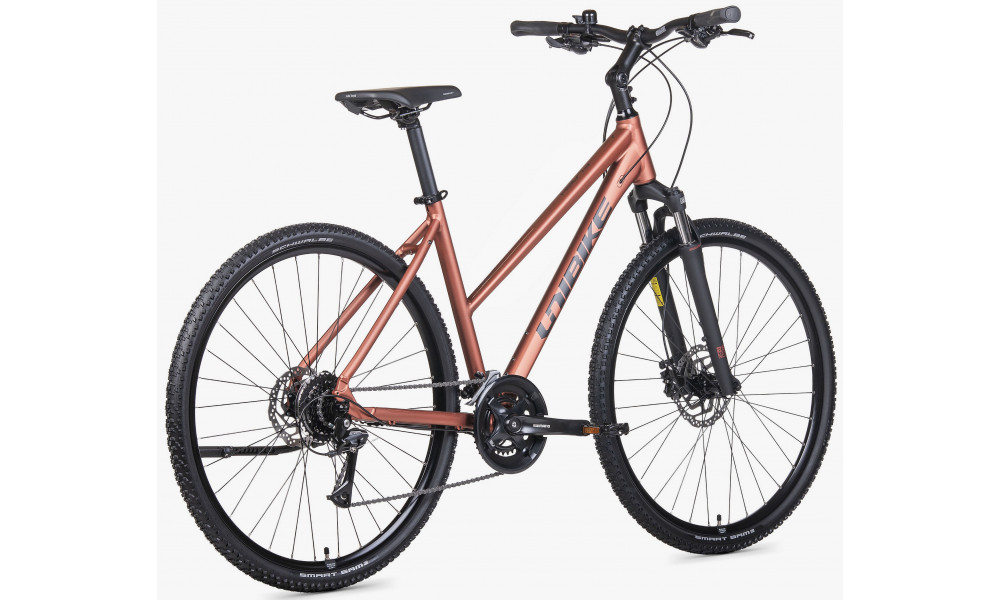 ????????? Unibike Flash LDS 2026 brandy - 5